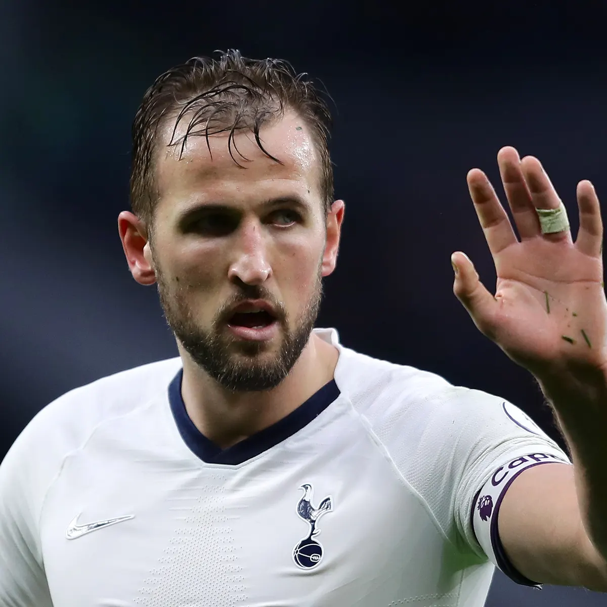 Harry Kane Hair Loss & Hair Transplant - Hair Transplant Specialists - Treatment Rooms London Harry Kane Hair Loss & Hair Transplant - Hair Transplant Specialists - Treatment Rooms London