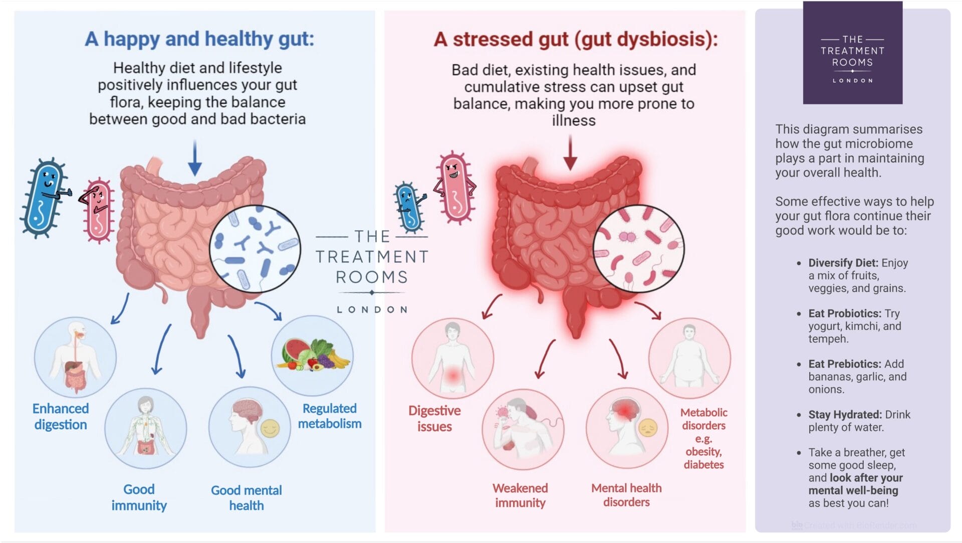healthy hair gut microbiome diagram